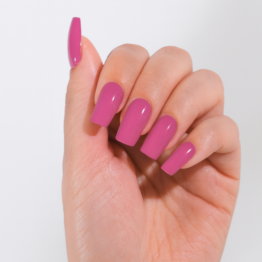 Fuchsia Éclat