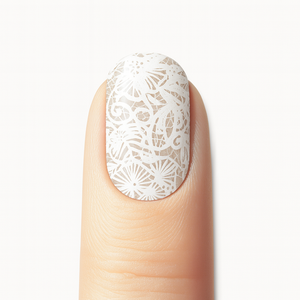 Dentelle Blanche