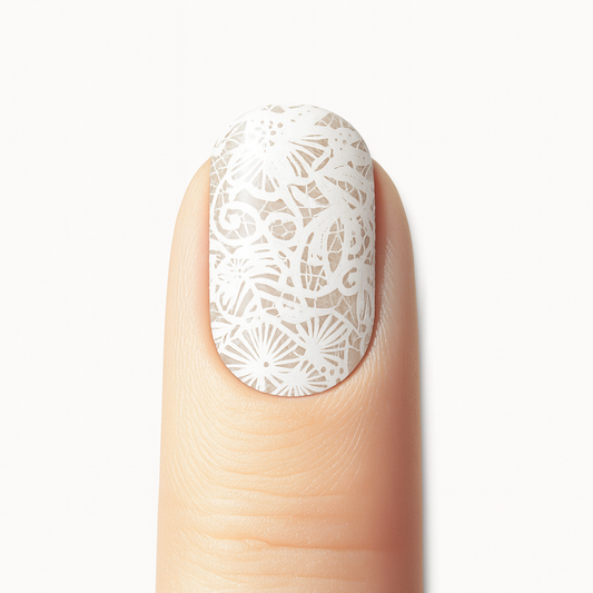 Dentelle Blanche