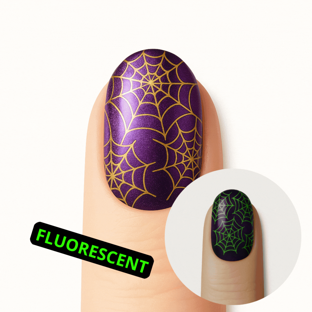 Araignée Lumineuse